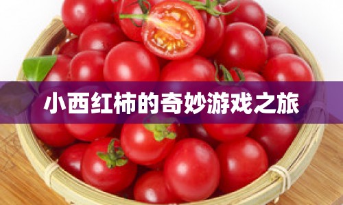 小西紅柿的奇妙冒險之旅
