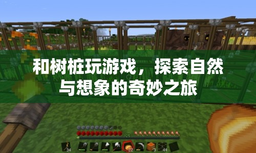 探索自然與想象的奇妙之旅，與樹樁共舞