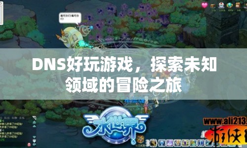 探索未知領(lǐng)域的冒險之旅，玩轉(zhuǎn)DNS游戲