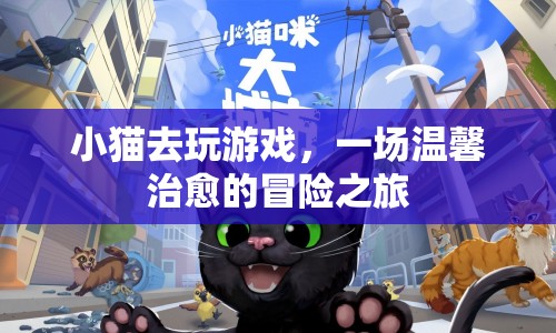 溫馨治愈的冒險(xiǎn)之旅，小貓的歡樂(lè)游戲