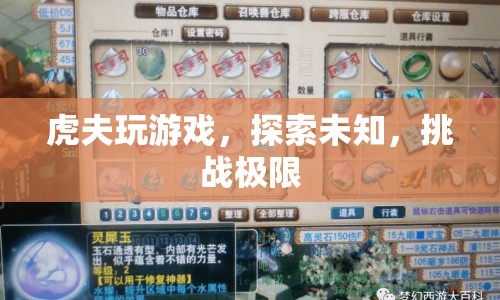 虎夫挑戰(zhàn)游戲極限，探索未知領(lǐng)域