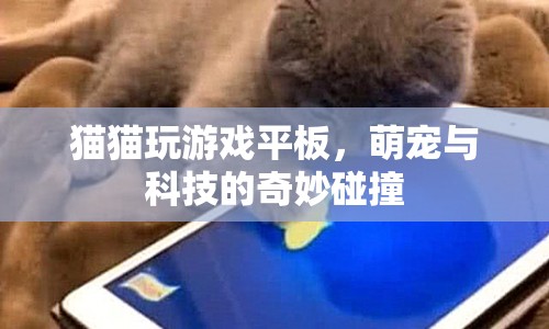 萌寵科技碰撞，貓咪玩轉(zhuǎn)游戲平板