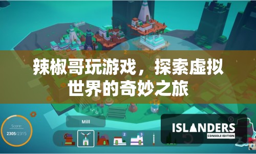辣椒哥，探索虛擬世界的奇妙之旅