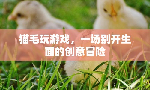 貓毛創(chuàng)意游戲，一場別開生面的冒險之旅
