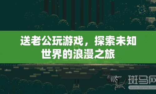 送老公玩游戲，探索未知世界的浪漫之旅