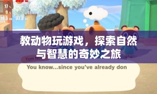 動物游戲探索，自然與智慧的奇妙之旅
