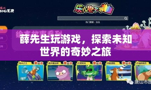 薛先生，探索未知世界的奇妙游戲之旅
