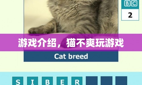 貓不爽游戲，挑戰(zhàn)與樂(lè)趣并存的冒險(xiǎn)之旅
