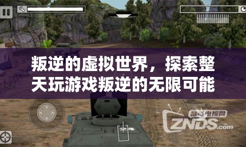 叛逆的虛擬世界，探索整天玩游戲的無限可能