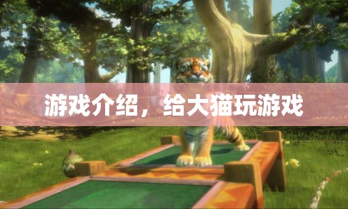 大貓的游戲世界，探索未知，挑戰(zhàn)自我