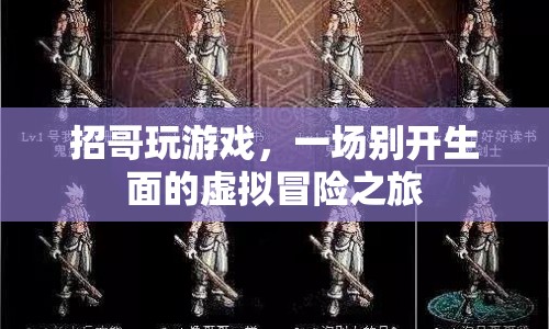 招哥玩游戲，虛擬冒險(xiǎn)之旅開啟