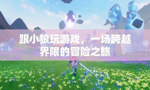 小狼游戲，一場跨越界限的冒險之旅