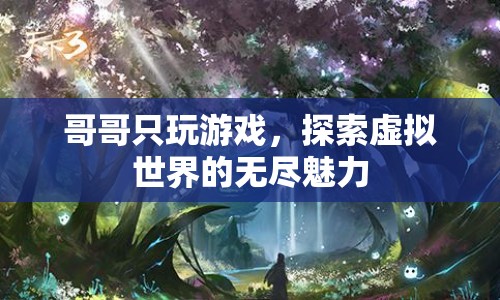 哥哥沉迷虛擬世界，探索游戲的無窮魅力
