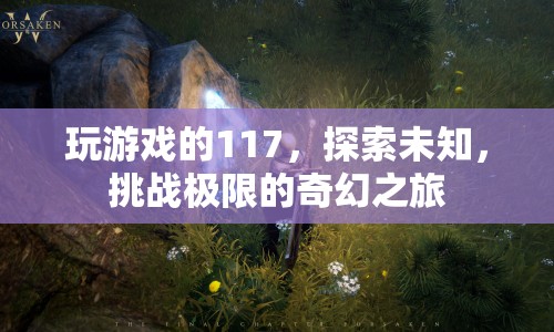 探索未知，挑戰(zhàn)極限，117的奇幻游戲之旅