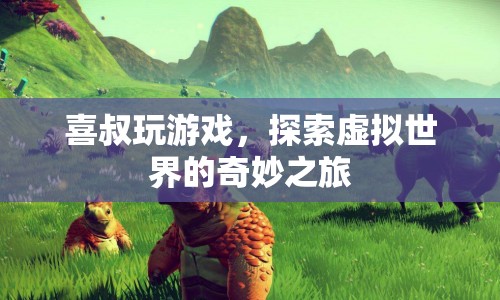 喜叔的虛擬世界探險(xiǎn)之旅  第1張