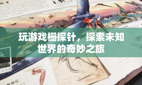 探索未知世界的奇妙之旅，玩游戲柵探針