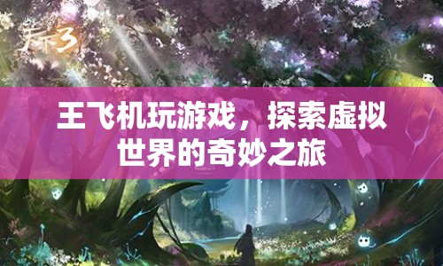 王飛機(jī)，探索虛擬世界的奇妙之旅