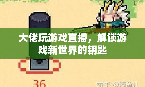 大佬游戲直播，解鎖游戲新世界的大門