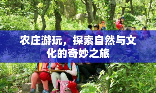 農(nóng)莊游玩，探索自然與文化的奇妙之旅