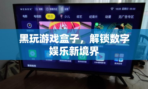 黑玩游戲盒子，解鎖數(shù)字娛樂新境界  第1張