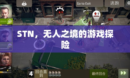 STN，無人之境的游戲探險之旅