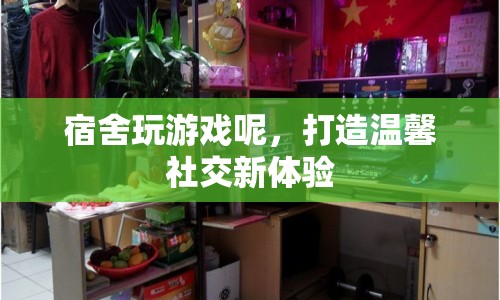 宿舍玩游戲，打造溫馨社交新體驗(yàn)