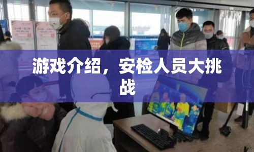 安檢人員大挑戰(zhàn)，游戲介紹
