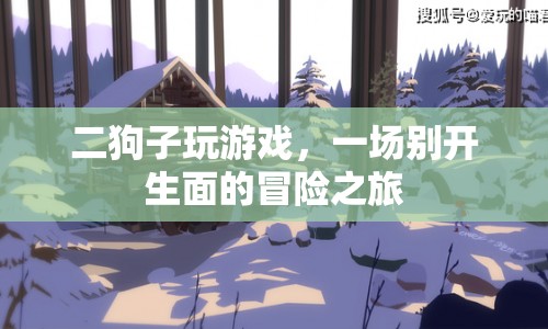 二狗子的冒險(xiǎn)之旅，一場(chǎng)別開生面的游戲盛宴