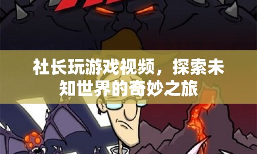社長探索未知世界的奇妙之旅，玩游戲視頻帶你領略奇妙冒險