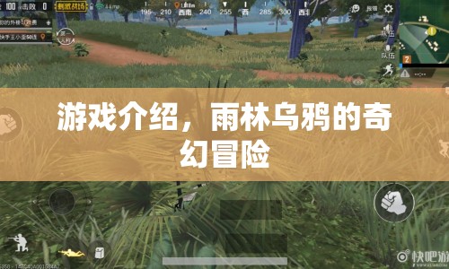 雨林烏鴉的奇幻冒險，探索神秘叢林，開啟冒險之旅