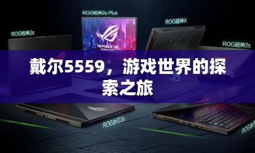 戴爾5559，游戲世界的探索之旅
