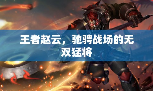 王者趙云，馳騁戰(zhàn)場(chǎng)的無(wú)雙猛將