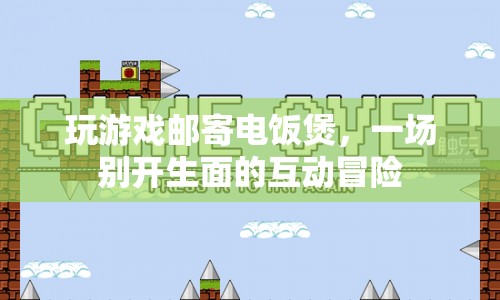 游戲玩家寄出電飯煲，開啟互動(dòng)冒險(xiǎn)新篇章  第1張