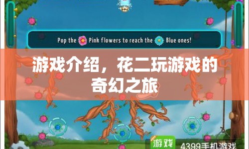 花二玩游戲的奇幻之旅，探索未知，挑戰(zhàn)自我