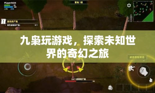 九梟的奇幻游戲之旅，探索未知世界的冒險(xiǎn)