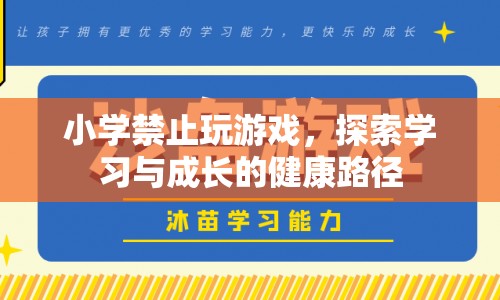 小學(xué)禁止玩游戲，探索學(xué)習(xí)與成長(zhǎng)的健康路徑