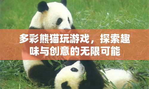 多彩熊貓，探索趣味與創(chuàng)意的無限可能
