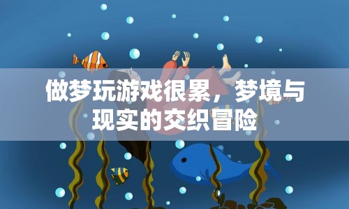 夢境與現(xiàn)實(shí)的冒險(xiǎn)，做夢玩游戲的疲憊之旅