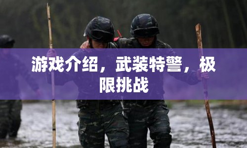 武裝特警極限挑戰(zhàn)，熱血與榮耀的較量