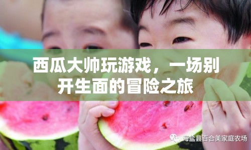 西瓜大帥的游戲冒險之旅