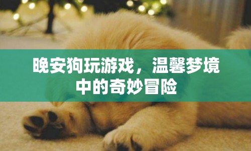 晚安狗夢(mèng)境冒險(xiǎn)，溫馨夢(mèng)境中的奇妙游戲之旅