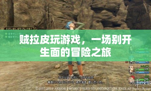 賊拉皮游戲，開啟一場(chǎng)別開生面的冒險(xiǎn)之旅