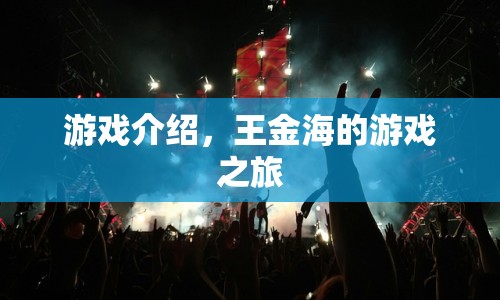 王金海的游戲之旅，探索未知，挑戰(zhàn)自我