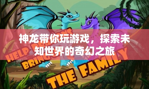 神龍帶你探索奇幻世界，一場(chǎng)未知之旅的冒險(xiǎn)