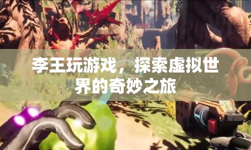 李王探索虛擬世界的奇妙游戲之旅