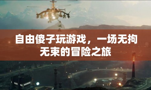 自由傻子玩游戲，無拘無束的冒險之旅