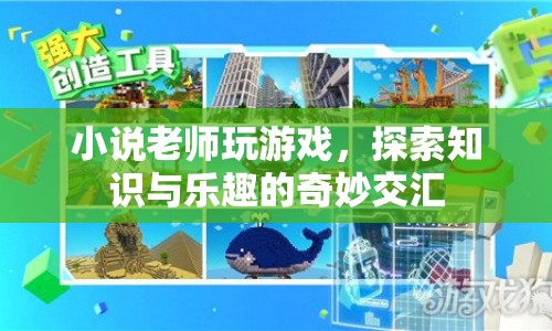 老師游戲，探索知識與樂趣的交匯點