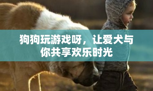 狗狗玩游戲，與寵物共享歡樂時(shí)光