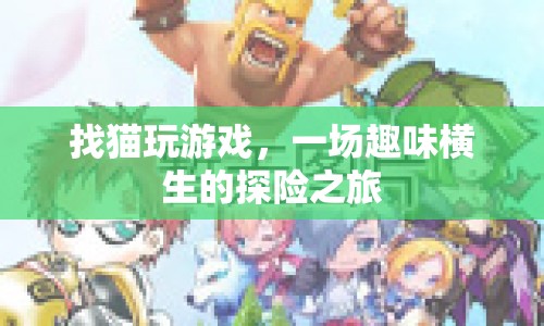 找貓玩游戲，開啟趣味橫生的探險之旅