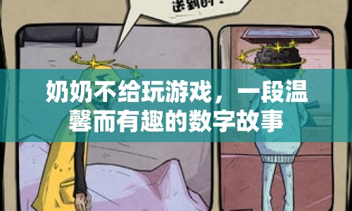 奶奶與游戲的數(shù)字故事，溫馨與樂趣的交織  第1張
